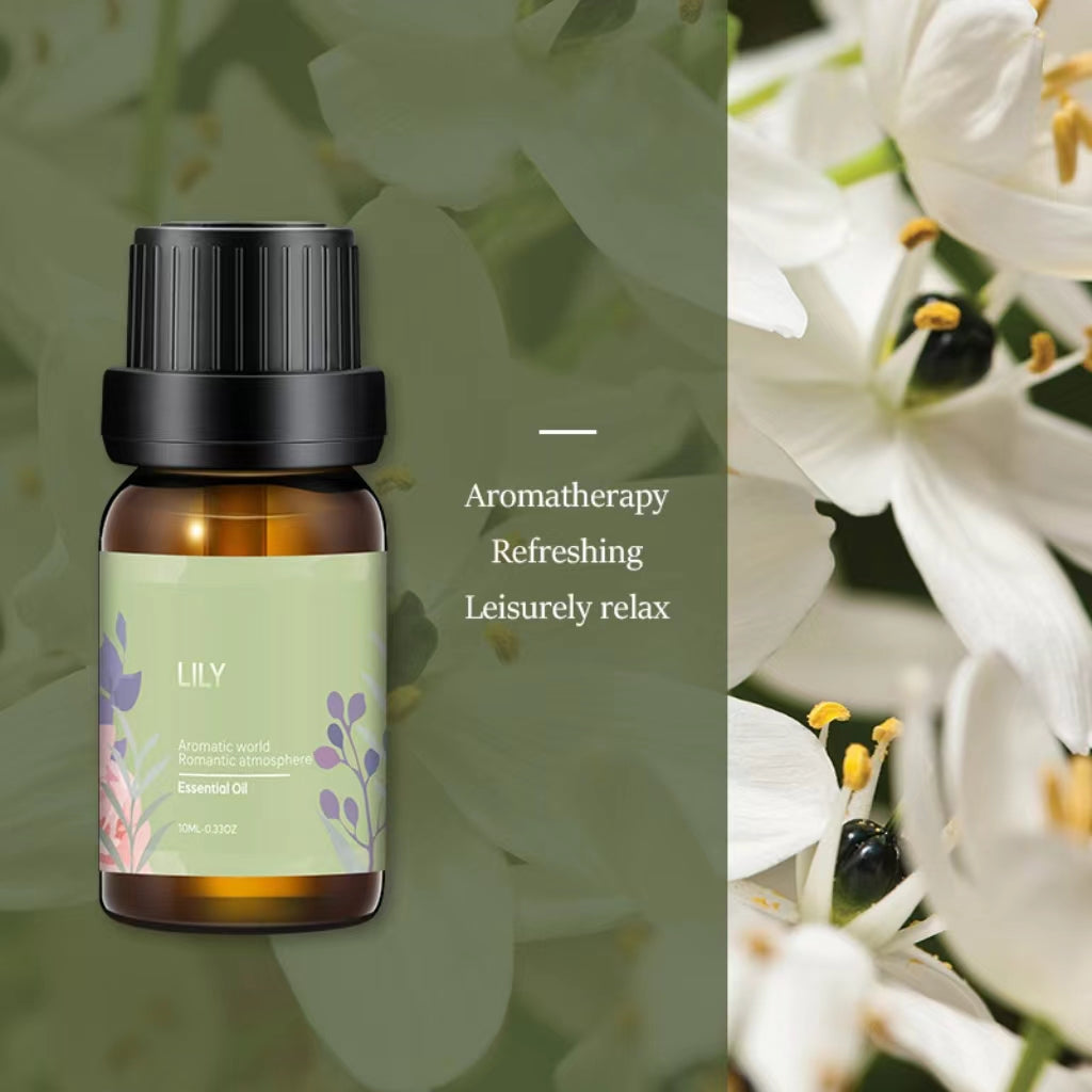 Aromatherapy Essential Oil Set